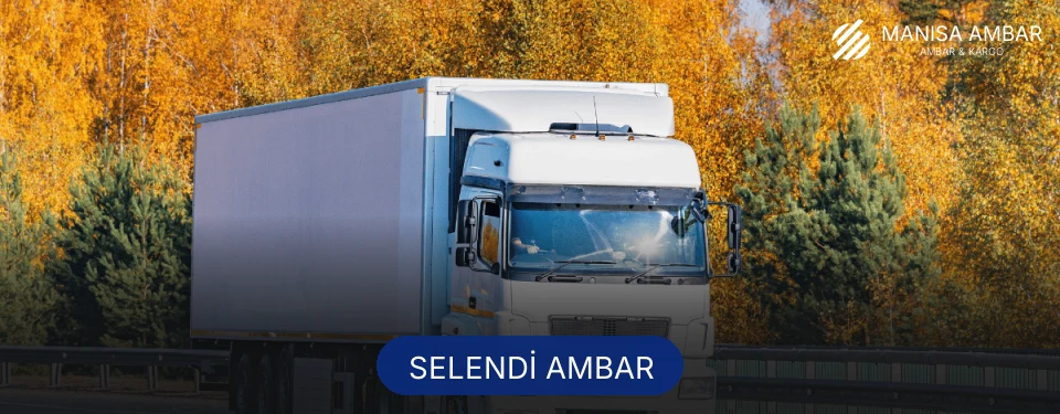 Selendi Ambar